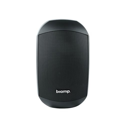 A black, oval-shaped Desono loudspeaker featuring a mesh front grille and the word “biamp” in white lowercase letters near the bottom, displayed against a plain white background.