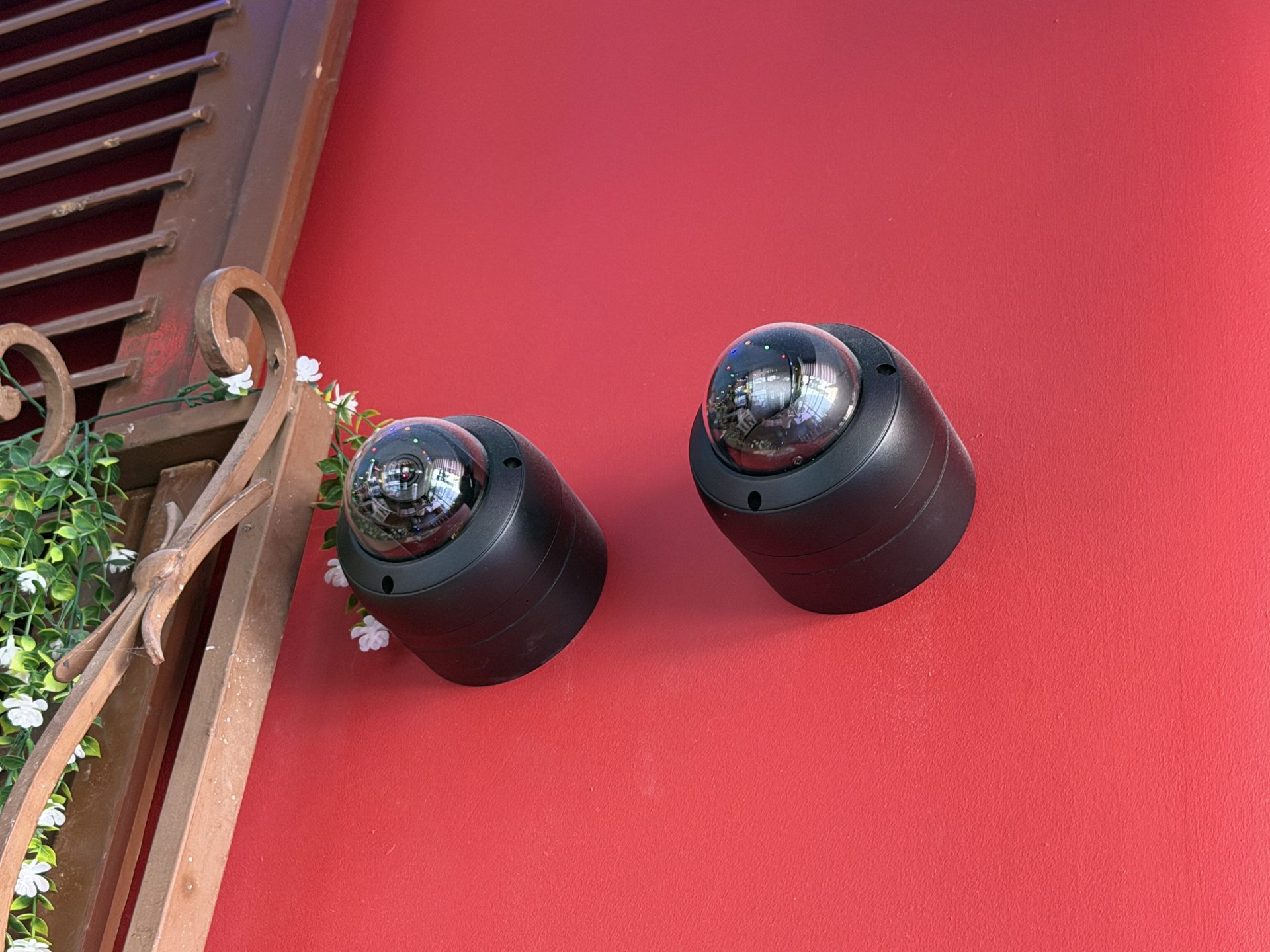 Two black dome security cameras mounted on a red wall next to a metal grille and green leafy plant with small white flowers, captured outside Pizza Pilgrims on Deansgate in Manchester. Two black dome security cameras mounted on a red wall next to a metal grille and green leafy plant with small white flowers, captured outside Pizza Pilgrims on Deansgate in Manchester.